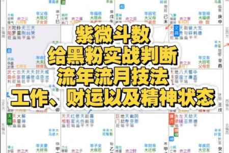 紫薇斗数看运势