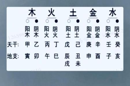 怎么看八字喜什么五行