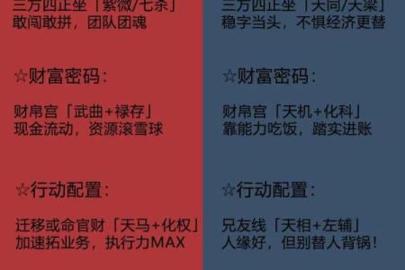 紫薇斗数事业宫化忌