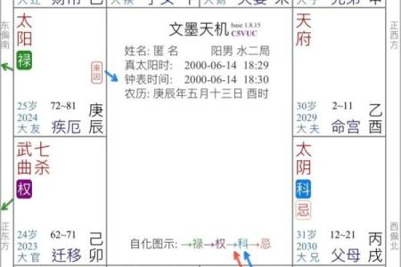 紫薇斗数看创业与否