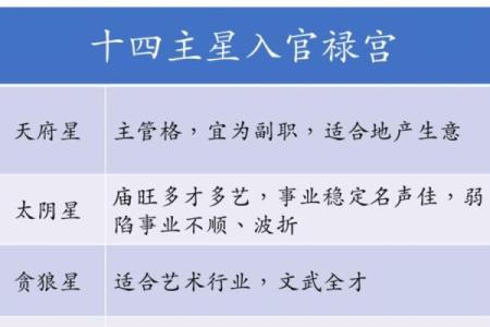 紫薇斗数流禄