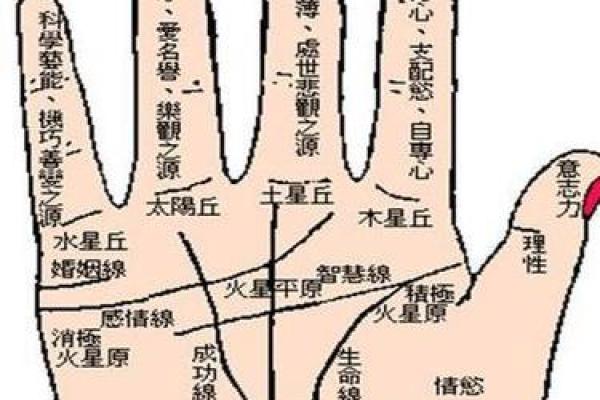 手相算命总论 手相算命大揭秘