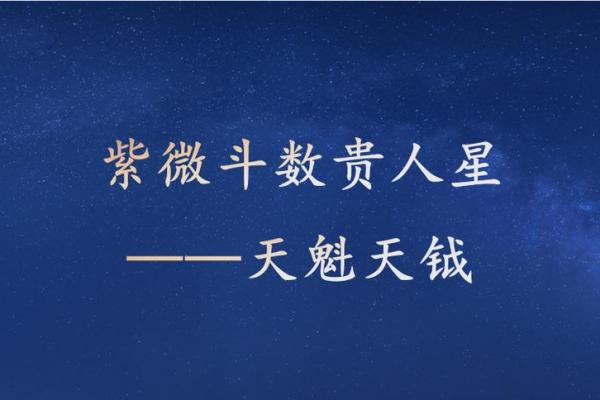 紫微斗数贵人星天魁、天钺在各宫会怎样？