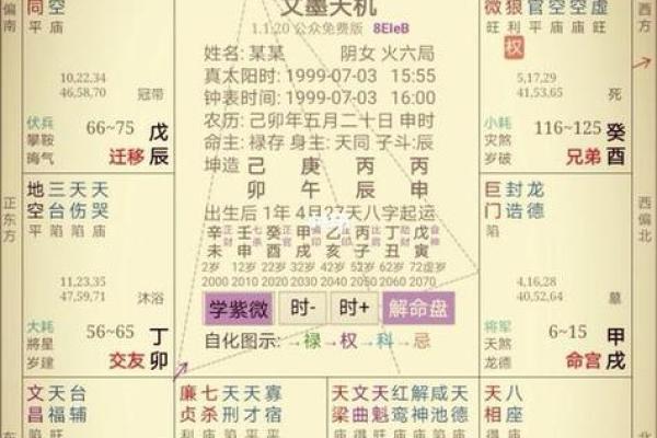 紫薇斗数网站在线排盘
