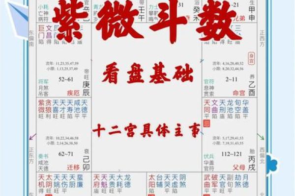 紫薇斗数网站在线排盘