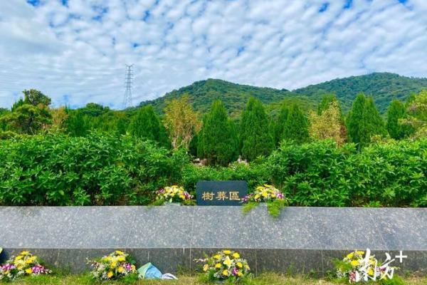 土葬与骨灰葬墓地风水埋葬讲究