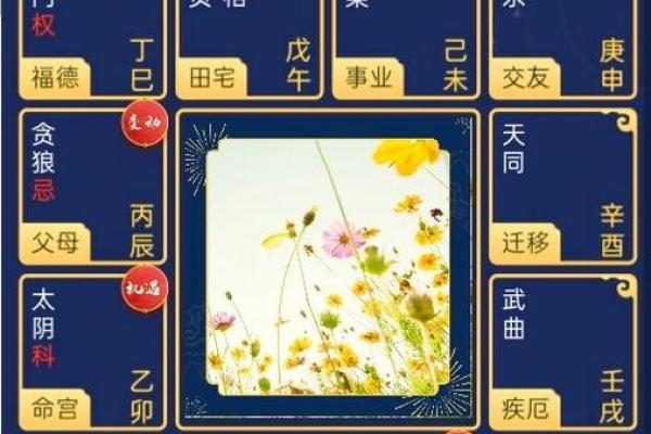 紫薇斗数看文采