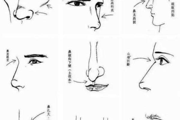 面相算命鼻子