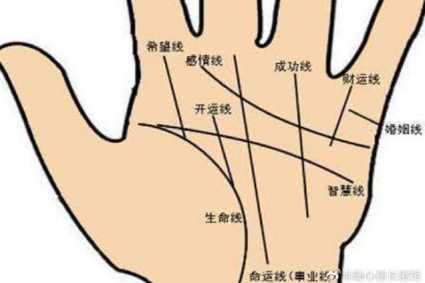 女性左手掌纹手相算命准吗