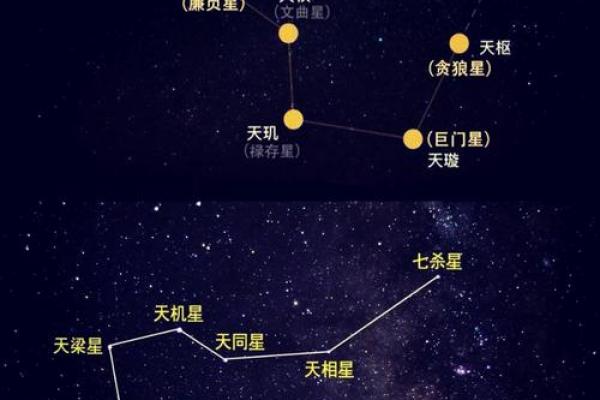 紫薇斗数计算年纪
