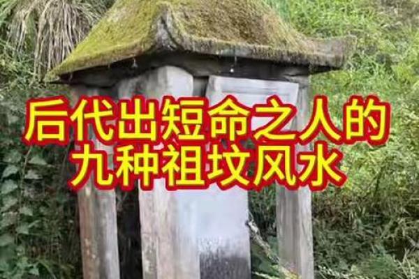 祖坟风水不好怎么化解