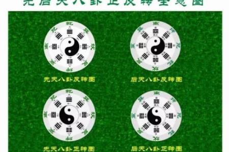 阴阳八卦算命,阴阳八卦看命