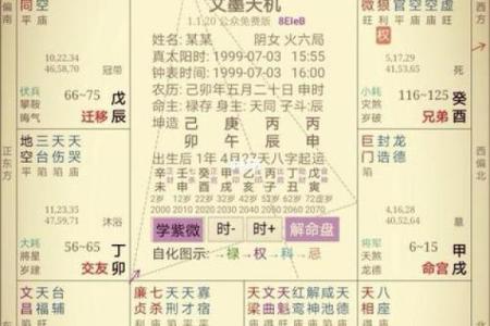 紫薇斗数网站在线排盘