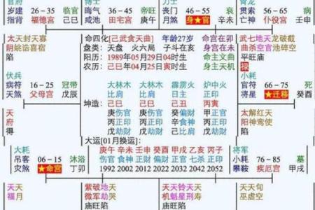 皮肤白紫薇斗数