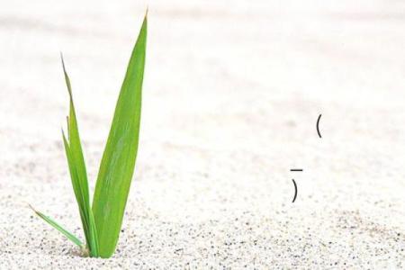 关帝灵签10婚姻