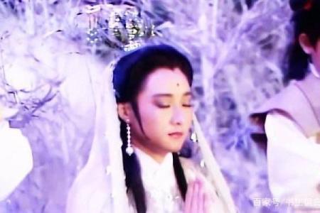 紫薇白娘子紫微斗数书