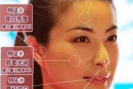 面相算命鼻子