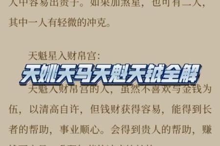 紫薇斗数天马一生机会