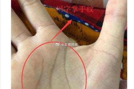 川字纹手相算命图解