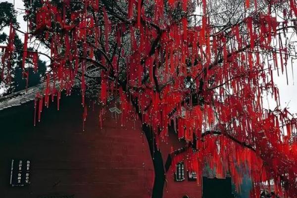 杭州月老祠姻缘第60签 杭州月老祠要门票吗？