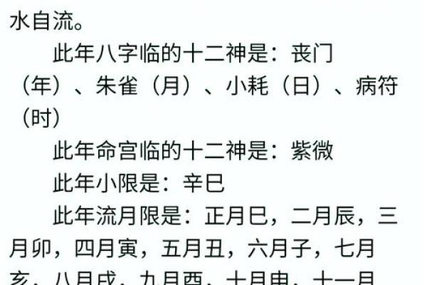 八字txt