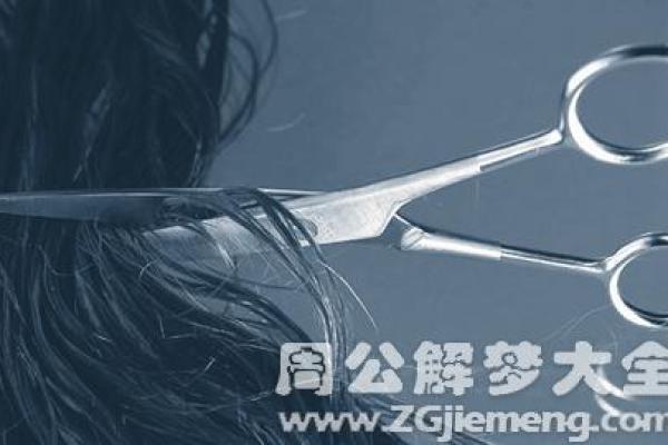 梦见去越南算命了