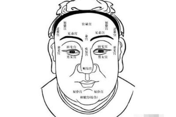 从腿部看相算命