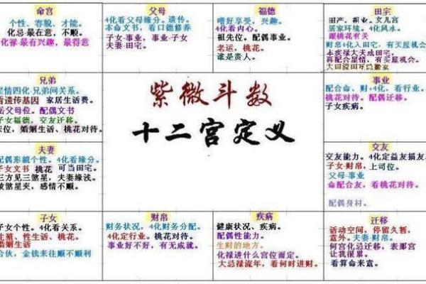 紫薇斗数真假