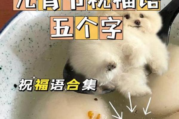 【精选八字元宵节祝福语】