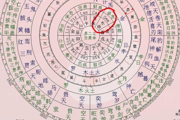 紫薇命盘免费算命