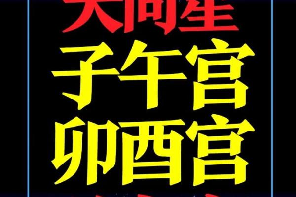 紫薇斗数赚钱
