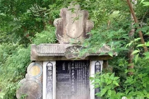 王健林祖坟风水图解