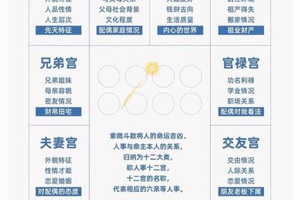 星尘紫微斗数 紫微斗数星情详解？