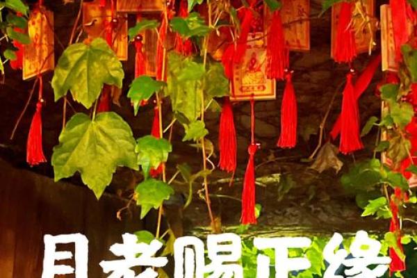 梦见月老是什么意思