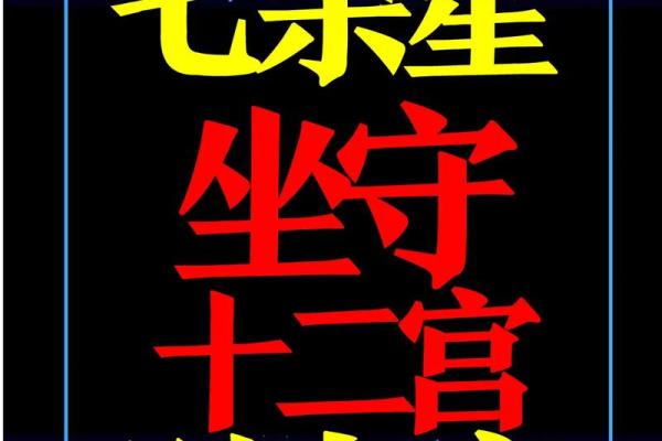 周飞星紫薇斗数