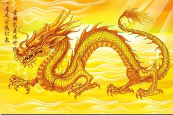 挂龙画的风水