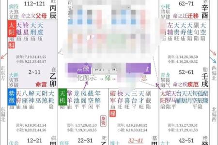 手机紫薇斗数app