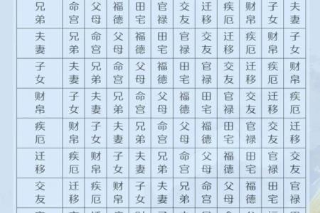 文教法律紫薇斗数