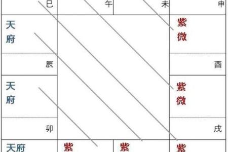 紫微斗数之疾厄宫与诸星，天府星在疾病宫是什么意思？