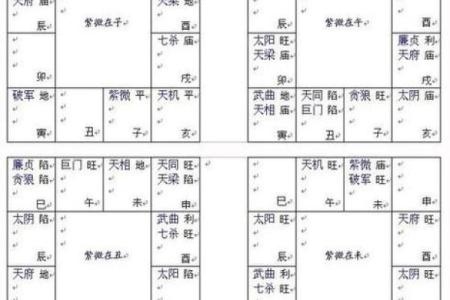紫薇斗数appios版