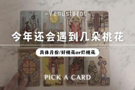 塔罗测试：9月你的桃花会不会来？