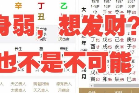 五分钟教你学看八字案例53- 身弱财旺 有比劫助身 才能更好的去担财