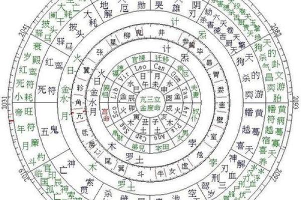 七政四余紫薇斗数