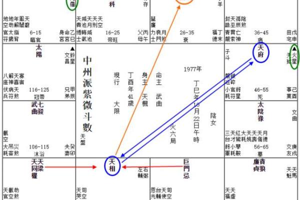 紫微斗数天相星在事业宫的解析 #东方星象学