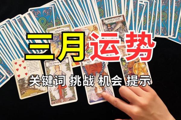 塔罗测试：三月你的事业运势如何？