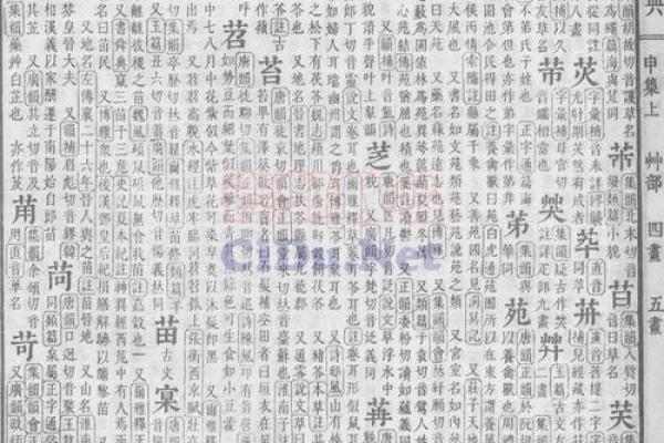 瓷都算命准吗
