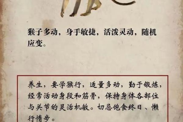 猴宝宝八字