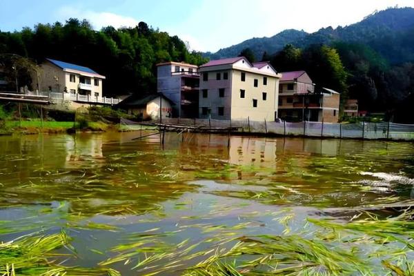 池塘填埋造房子风水