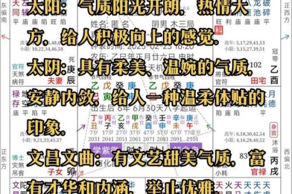 葵葵紫薇斗数
