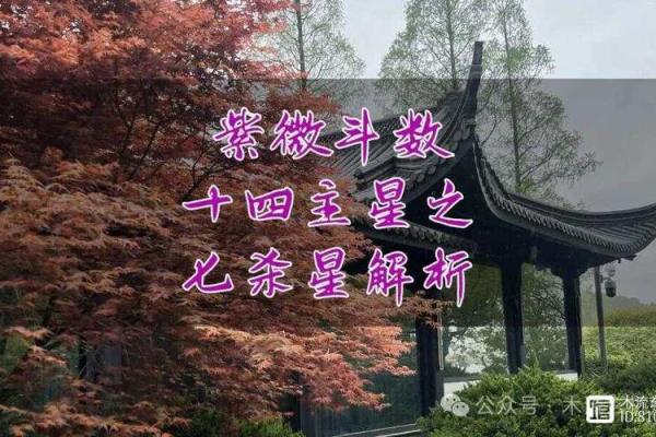 紫薇斗数命宫七杀